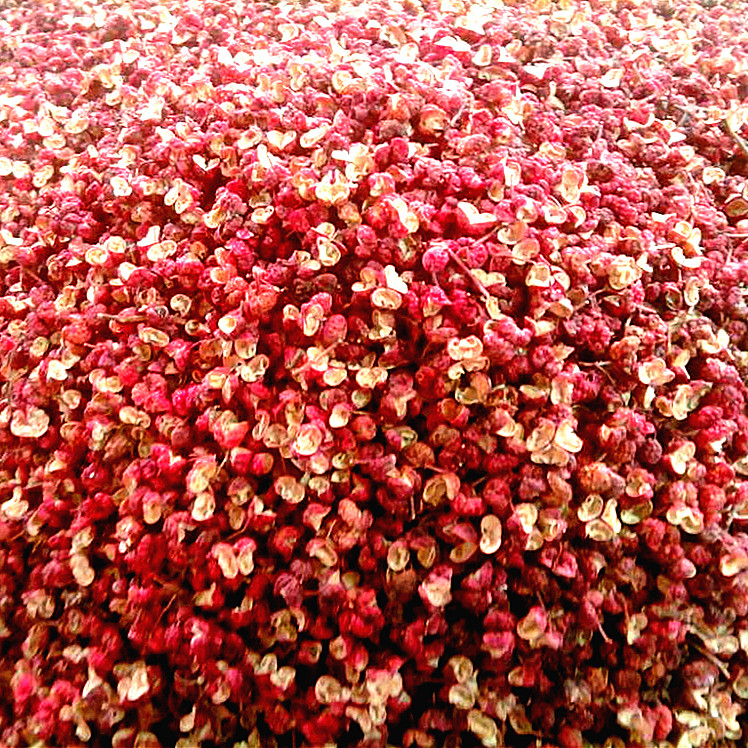 Dried Szechuan pepper